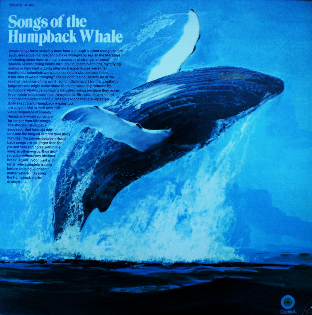 Songs Of The Humpback Whale Digital Download And Snotbot Sticker songs-of-the-humpback-whale-digital-download-and-snotbot-sticker