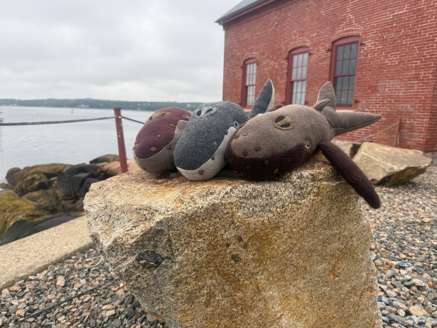 SnotBot Humpback Whale