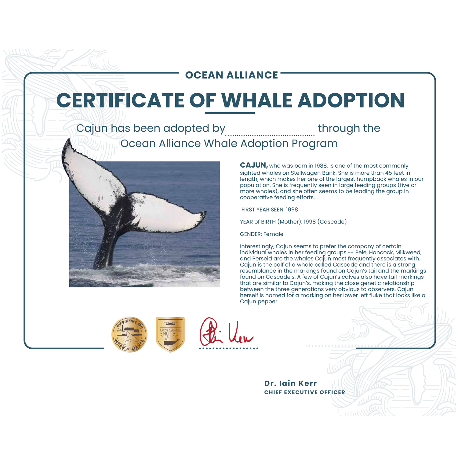Adopt a Whale