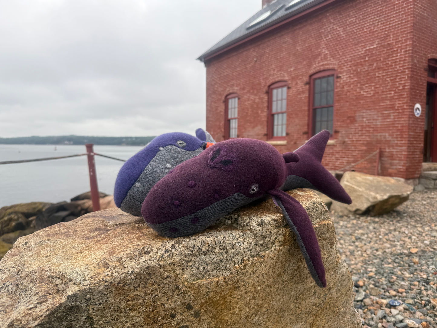 SnotBot Humpback Whale