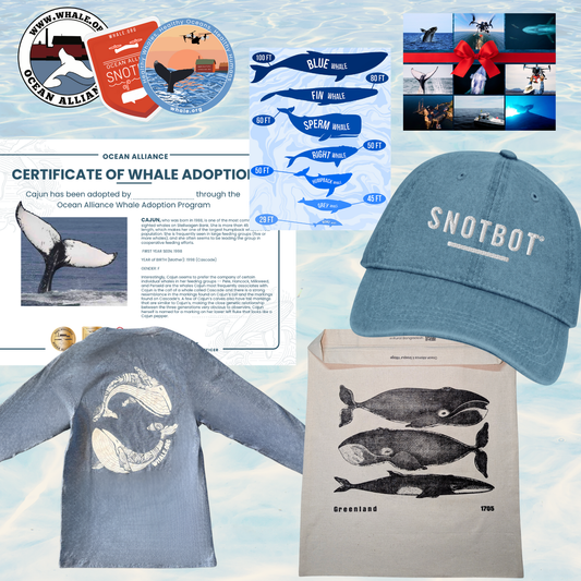 Whale Lovers Gift Set