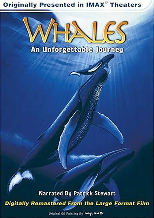 ‘Whales: An Unforgettable Journey’ IMAX DVD