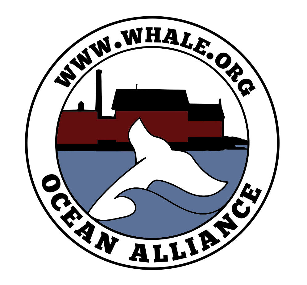 Ocean Alliance Logo Sticker